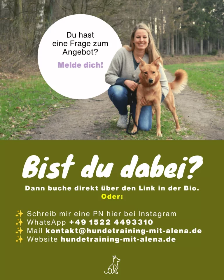 Instagram post from alenas.hundetraining. This post is in position 8.