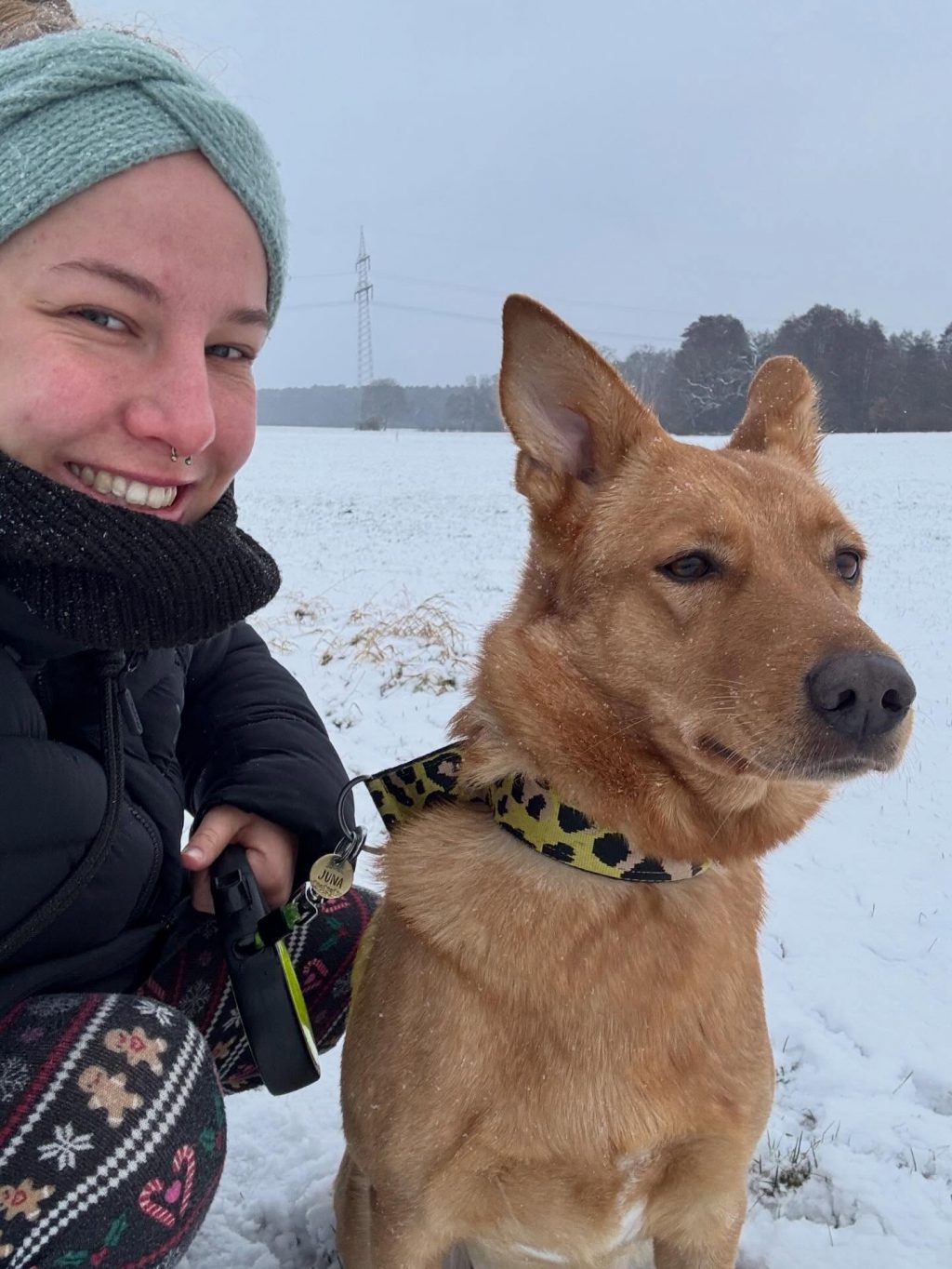 Instagram post from alenas.hundetraining. This post is in position 0.