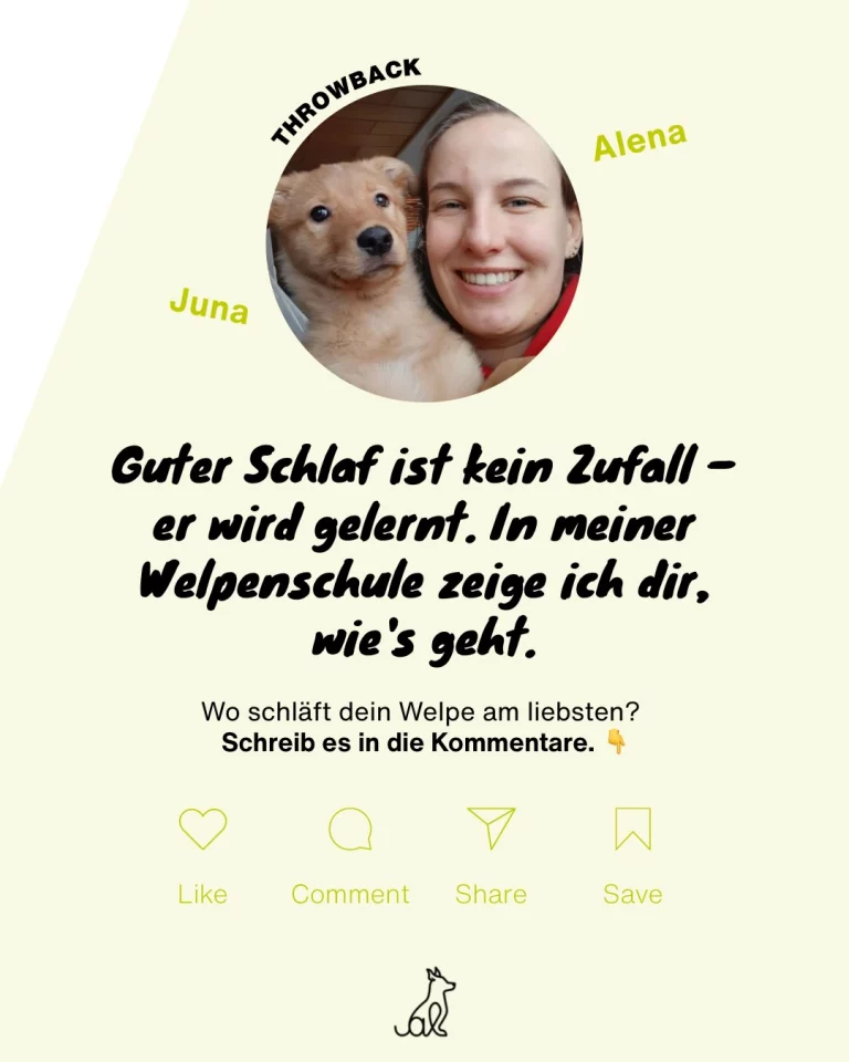 Instagram post from alenas.hundetraining. This post is in position 5.