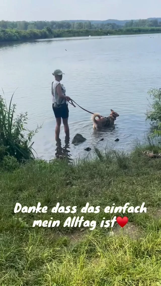 Instagram post from alenas.hundetraining. This post is in position 0.
